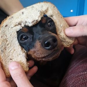 Meet your Posher, Ramsay